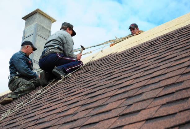 Best Metal Roofing Contractor  in Independence, OH